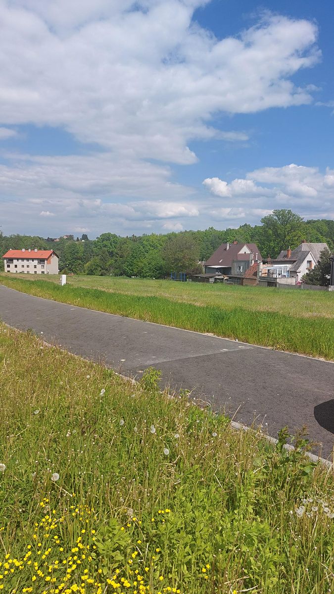 Prodej rodinného domu 98 m², pozemek 1002 m² – fotografie 4