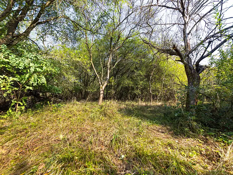 Prodej komerčního pozemku 4736 m², Kuřim – náhled fotky 3