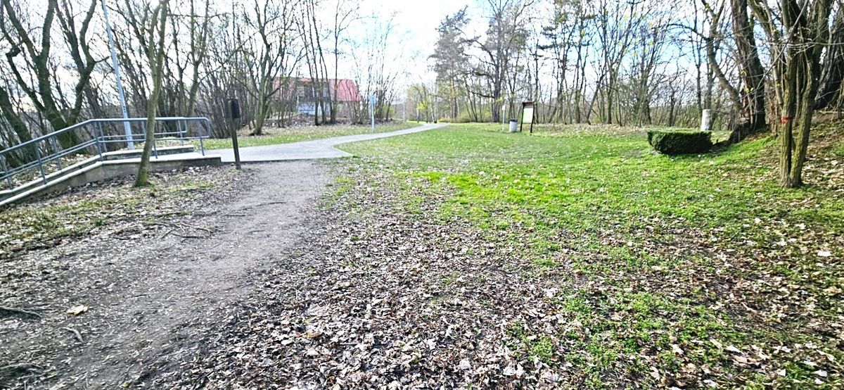 Prodej obchodního prostoru 485 m² – fotografie 5