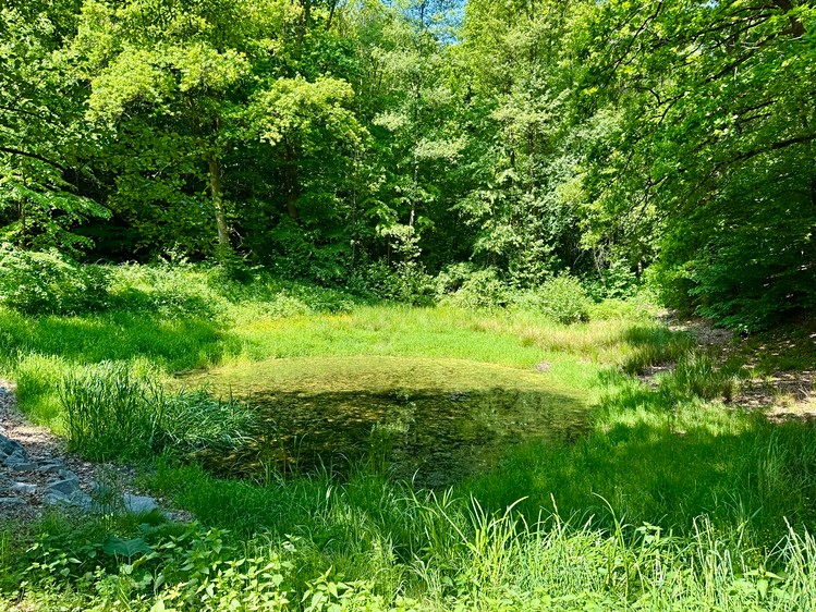 Prodej pozemku, 1 104 m² (6 z 18)