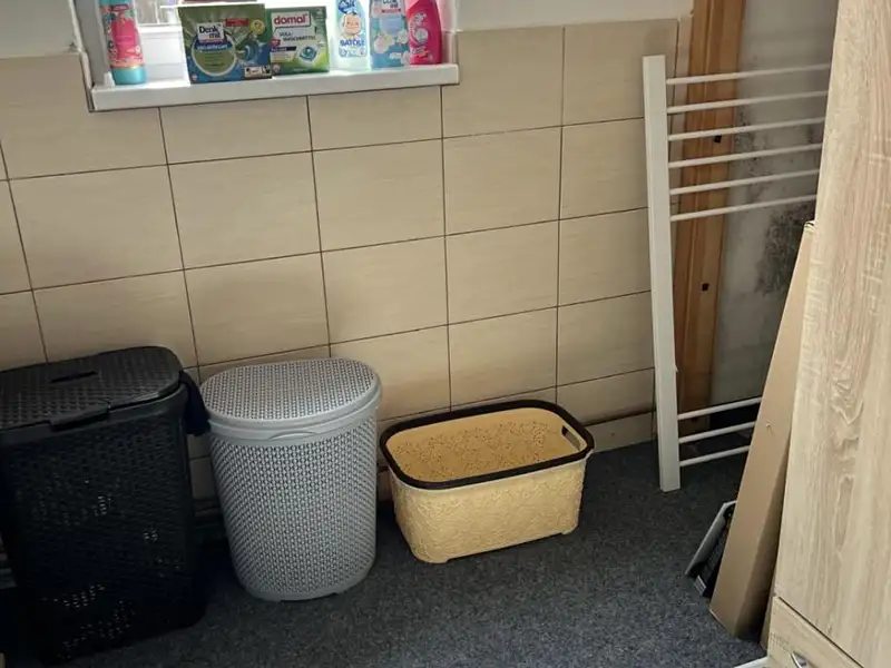 Prodej rodinného domu 150 m², pozemek 362 m², Golčův Jeníkov – náhled fotky 2