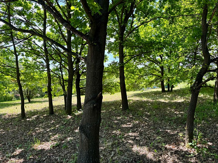 Prodej pozemku, 1 104 m² (10 z 18)