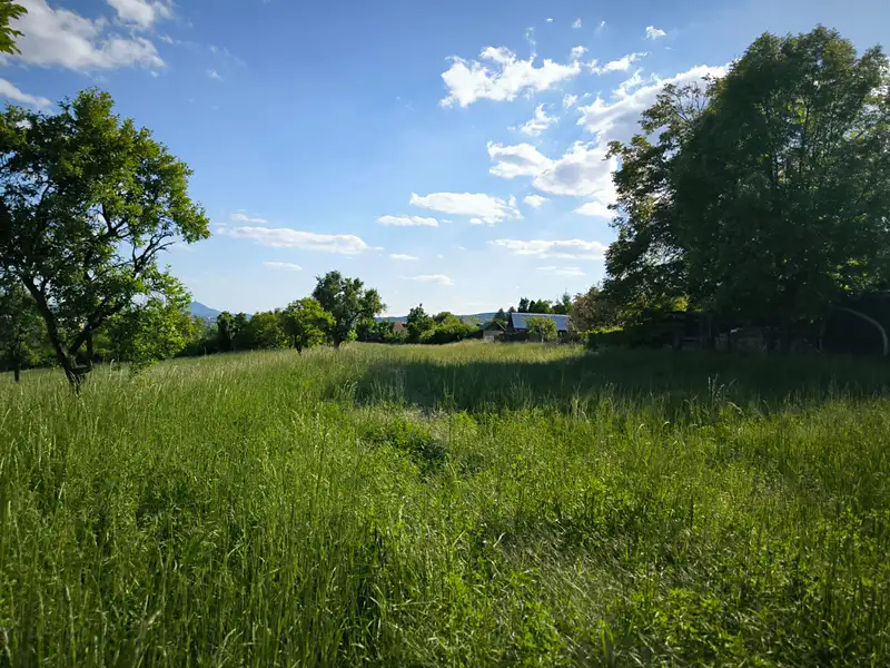 Prodej stavebního pozemku 9072 m², Lovosice – náhled fotky 3