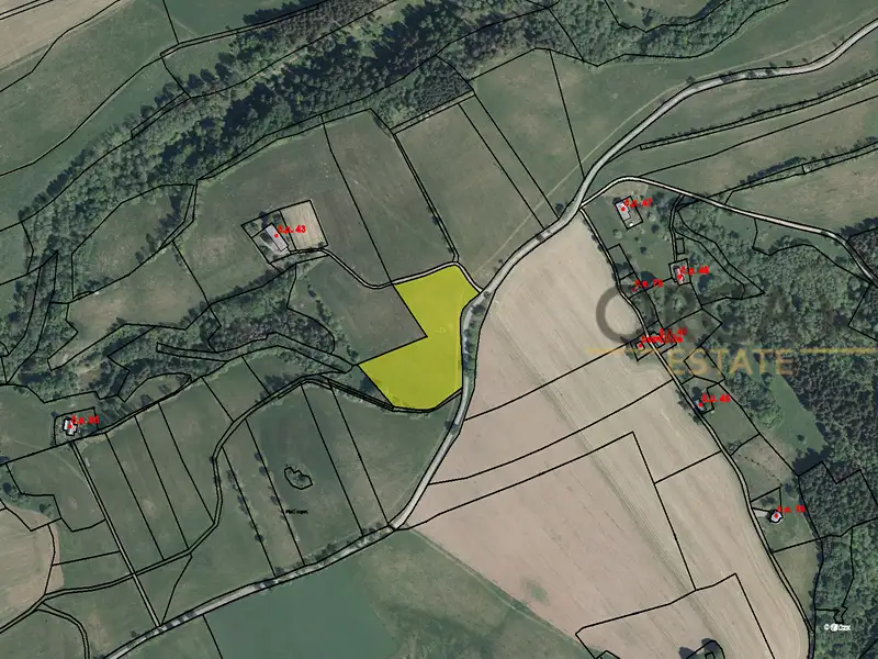 Prodej louky 12372 m², Liberk – náhled fotky 2