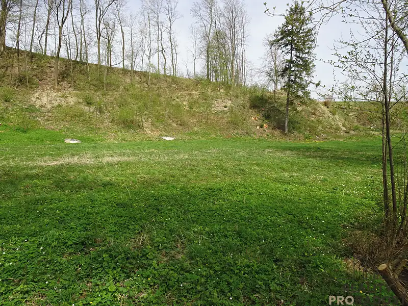 Prodej louky 5086 m², Kvasiny – náhled fotky 3