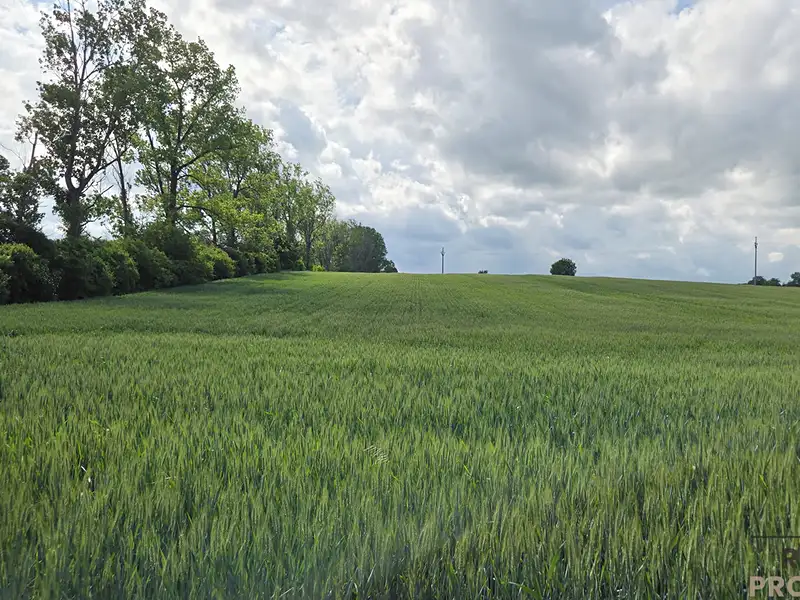 Prodej pole 2649 m², Kyjov – náhled fotky 3