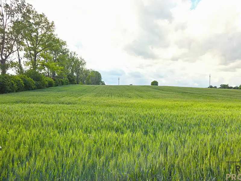 Prodej pole 2649 m², Kyjov – náhled fotky 2