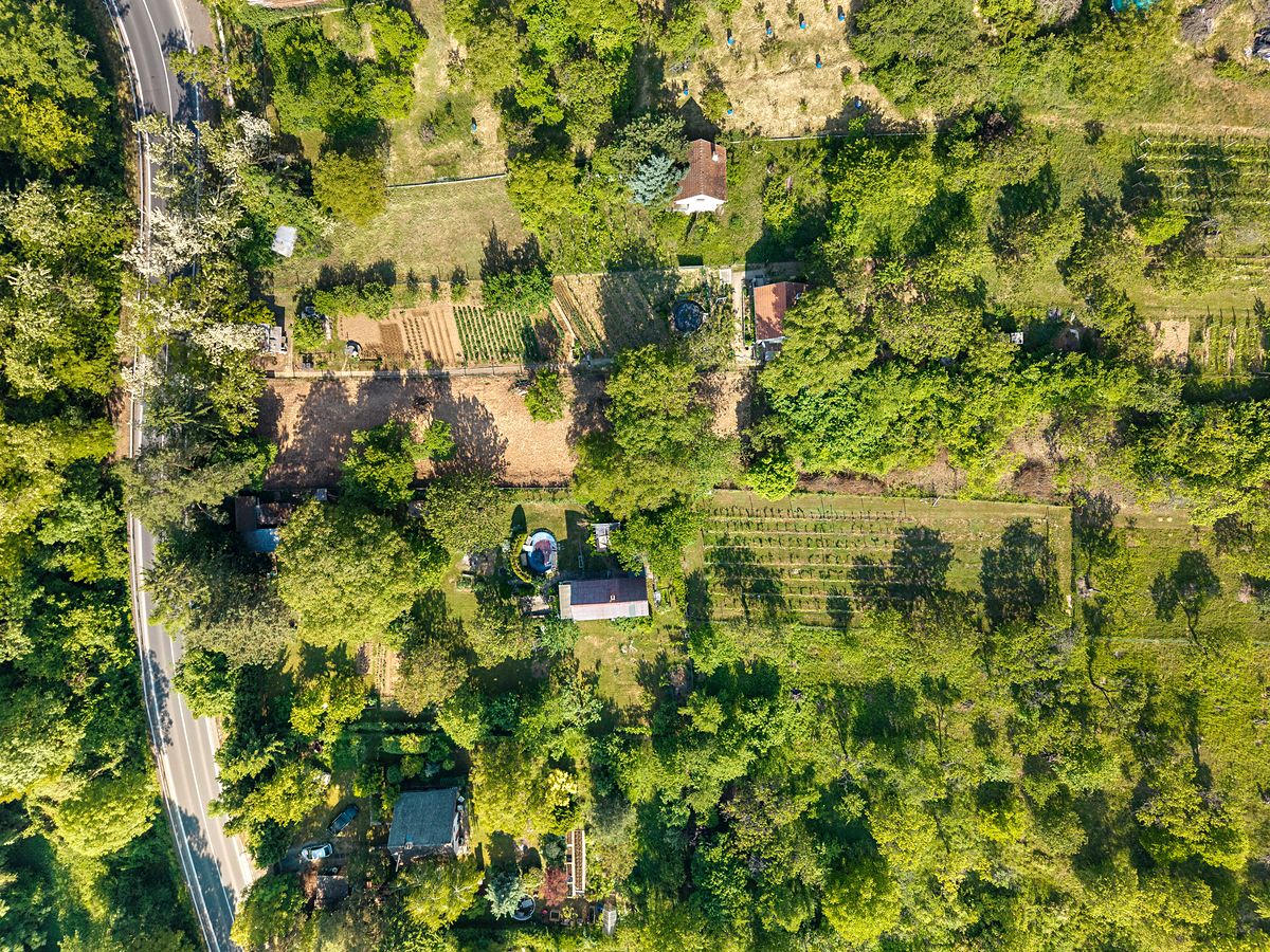 Prodej pozemku 985 m² – fotografie 3