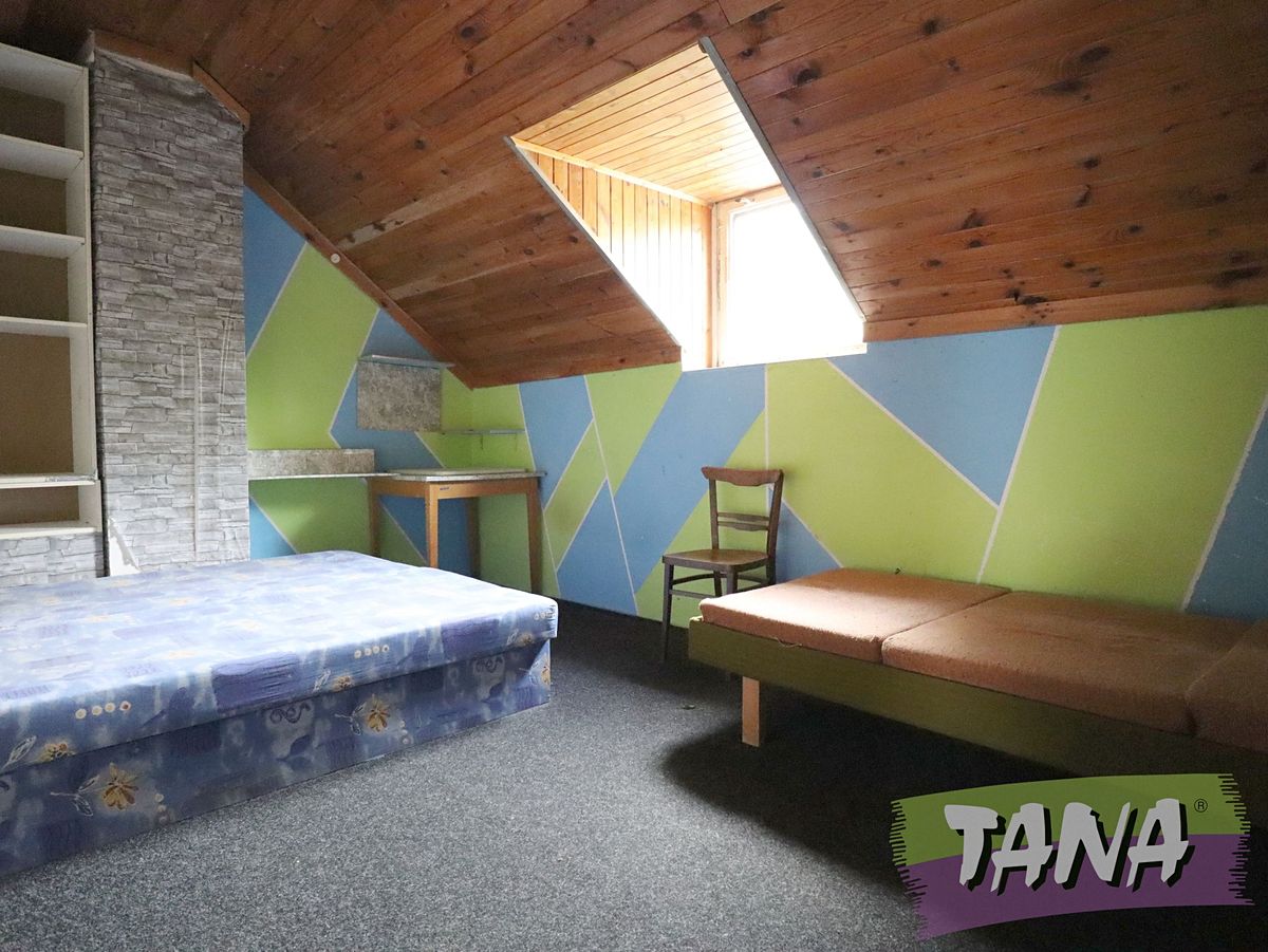 Prodej rodinného domu 339 m², pozemek 3919 m² – fotografie 5