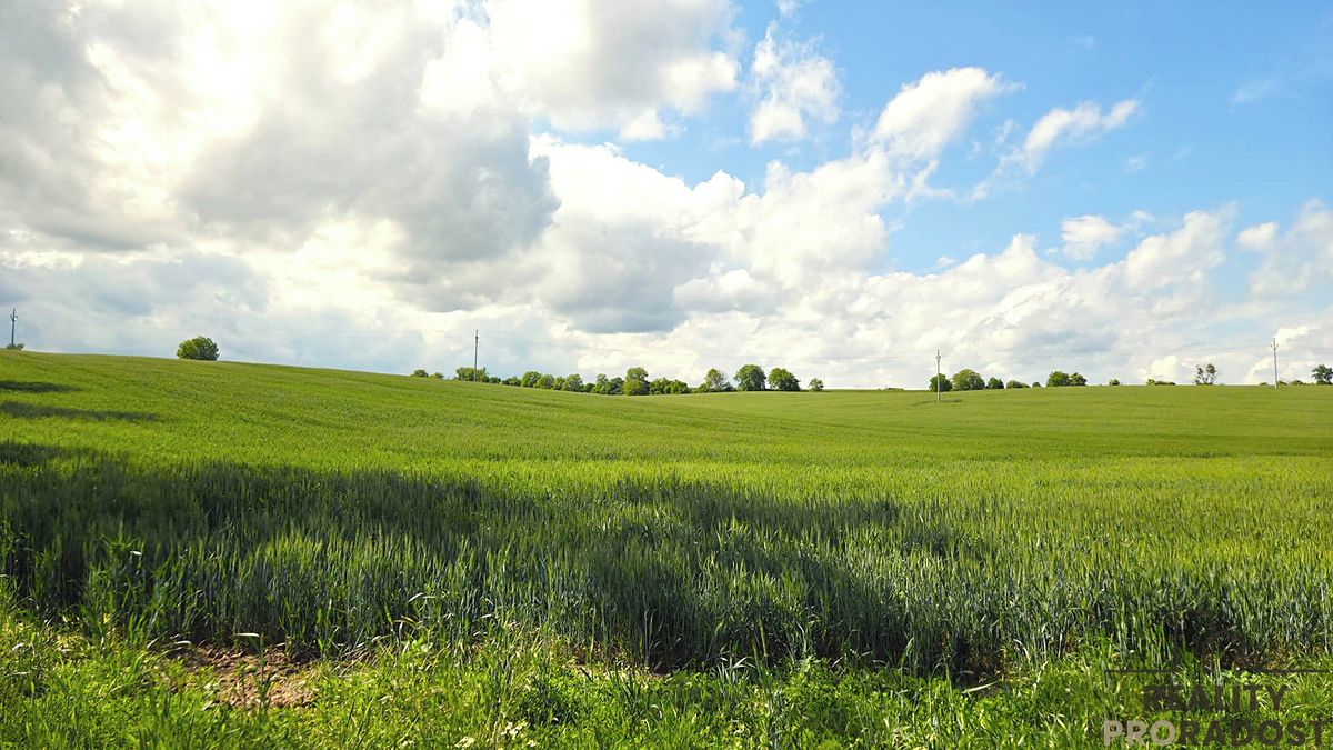 Prodej pole 2649 m²
