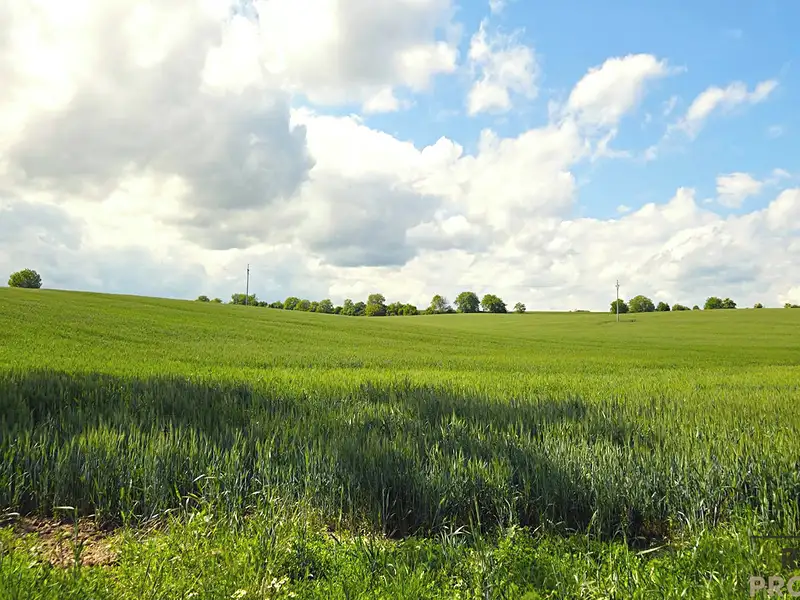 Prodej pole 2649 m², Kyjov – náhled fotky 1