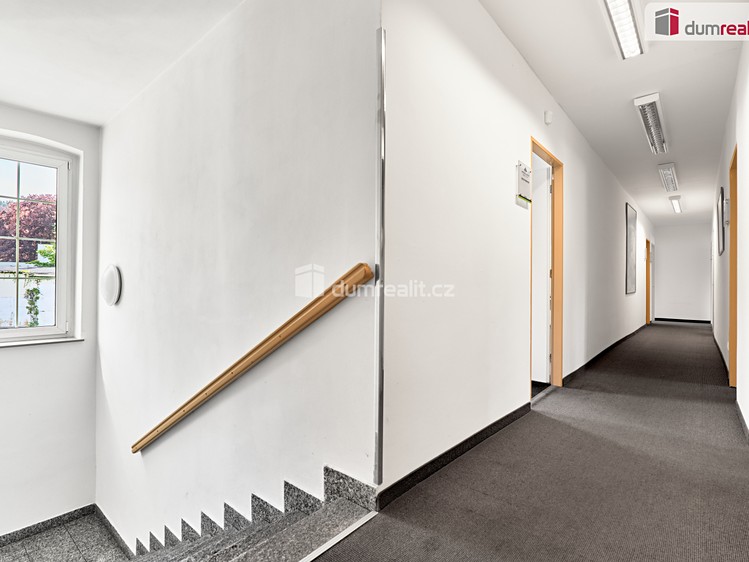 Комерційне приміщення в оренду, 206 м² (5 з 21)