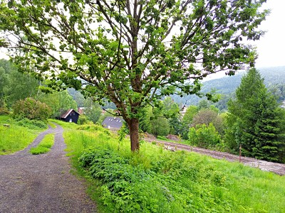 Hutní, Desná