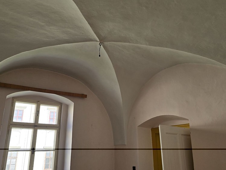 Prodej domu, 1 033 m² (7 z 13)