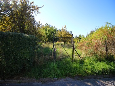 Prodej  zahrady 1 000 m²
