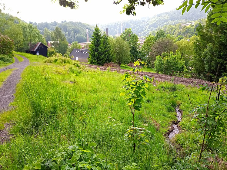 Grundstück zum Kauf, 2.111 m² (4 von 17)