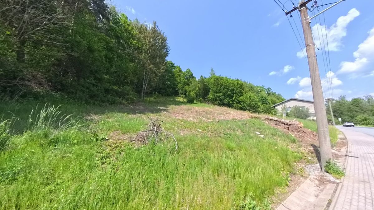 Prodej stavebního pozemku 3691 m² – fotografie 2