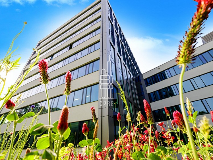 Gewerbefläche zur Miete, 600 m² (8 von 10)