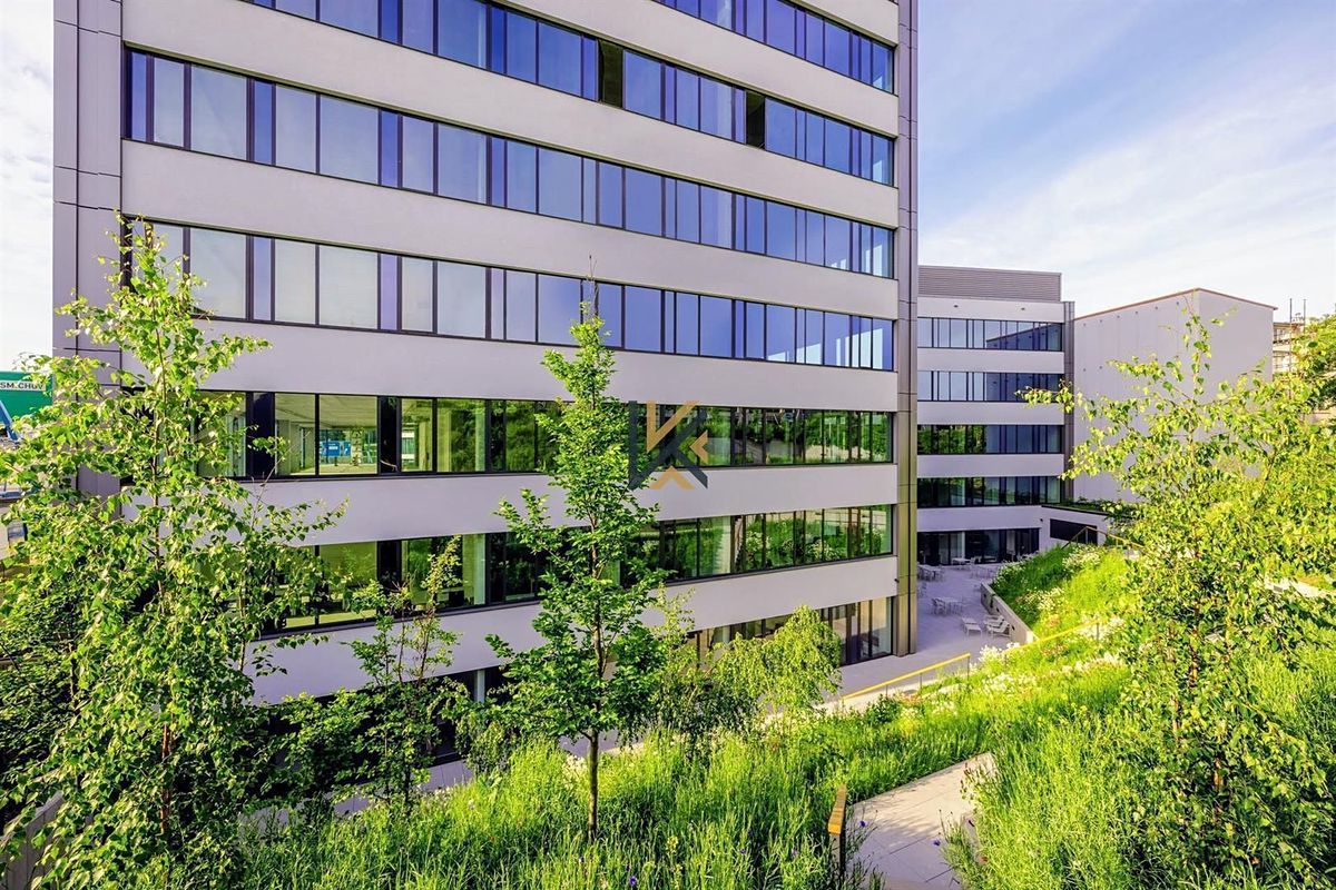 Pronájem kanceláře 800 m² – fotografie 5