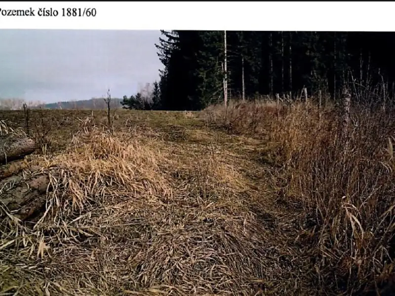 Prodej lesa 5521 m², Kamenice nad Lipou – náhled fotky 1