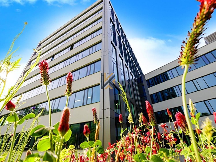 Gewerbefläche zur Miete, 1.316 m² (1 von 6)