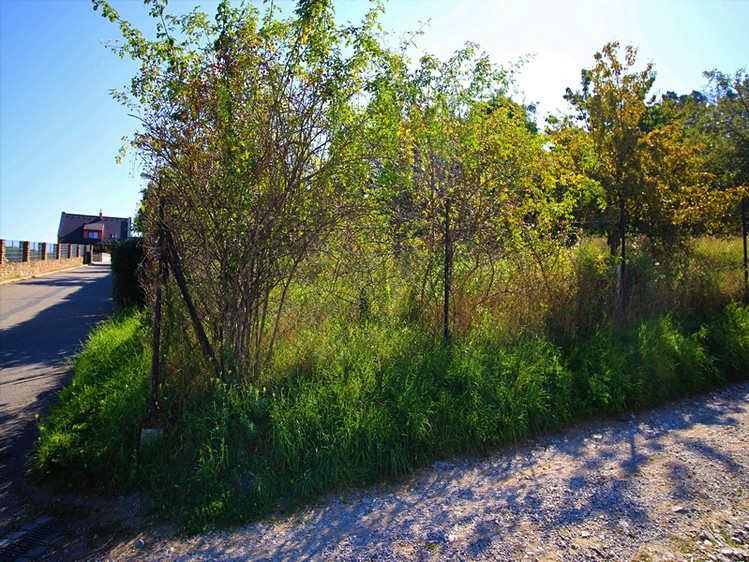 Prodej pozemku, 1 000 m² (2 z 4)