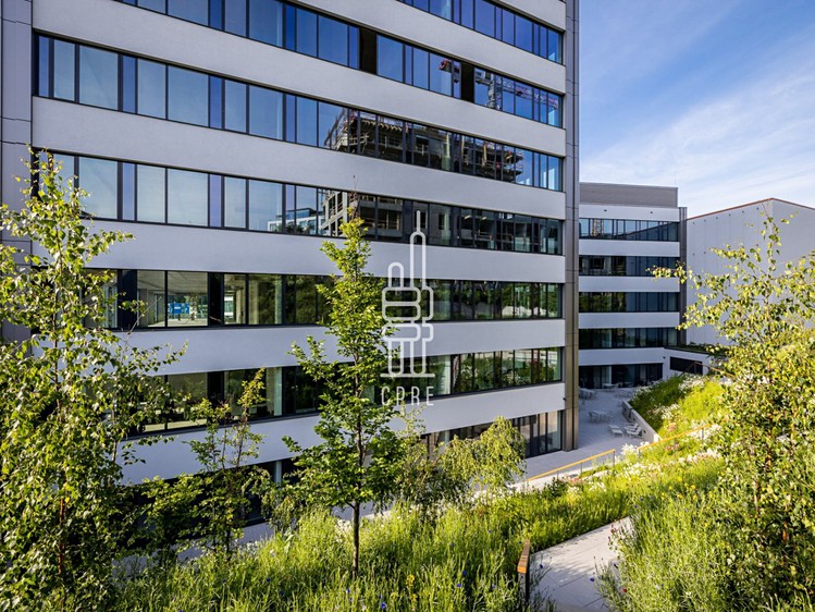 Gewerbefläche zur Miete, 600 m² (9 von 10)