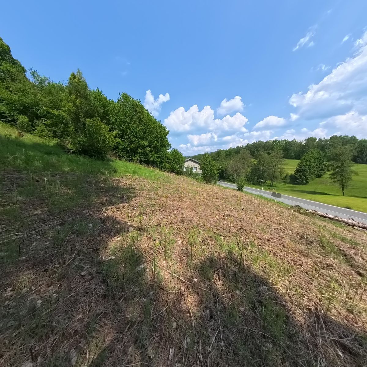 Prodej stavebního pozemku 3691 m² – fotografie 3