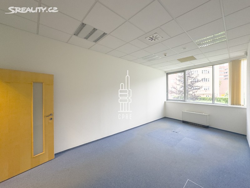 Pronájem kanceláře 319 m² - Więcej