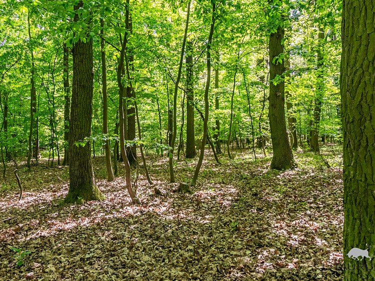 Ділянка на продаж, 6 490 м² (14 з 16)