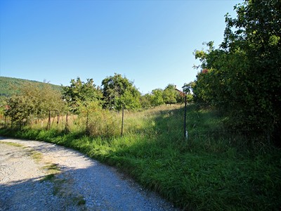 Prodej pozemku, 1 000 m² (3 z 4)