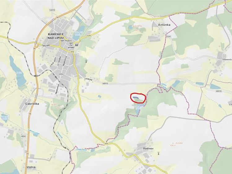 Prodej pozemku, 5 521 m² (7 z 8)