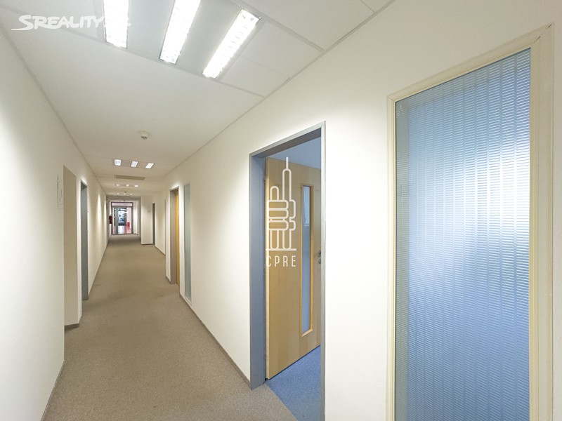 Pronájem kanceláře 319 m² - Widok 4