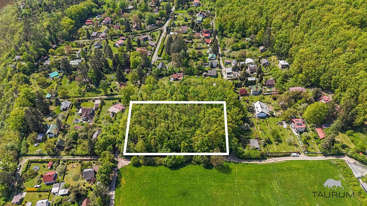 Prodej lesa 6490 m² – fotografie 2