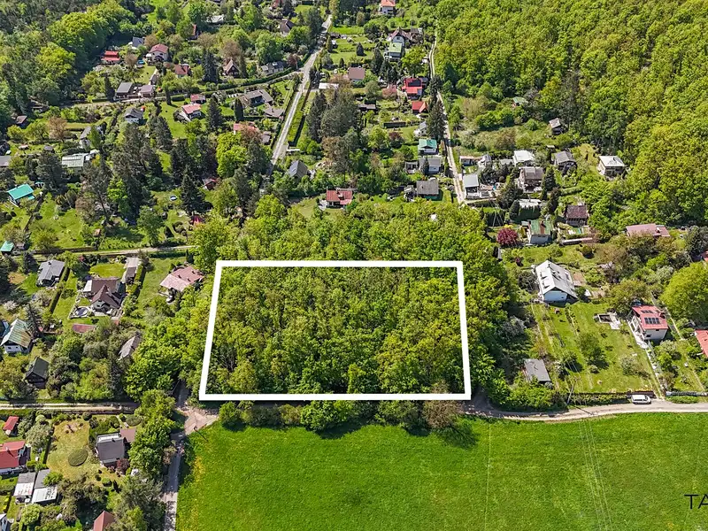Prodej lesa 6490 m², Petrov – náhled fotky 2