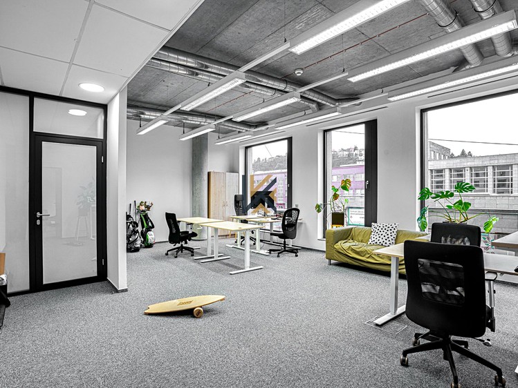 Pronájem komerčního prostoru, 539 m² (4 z 15)