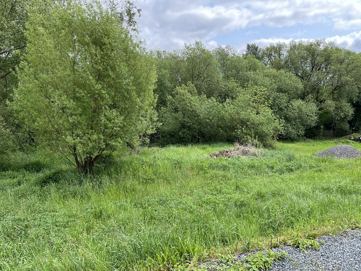 Prodej stavebního pozemku 1585 m² – fotografie 3