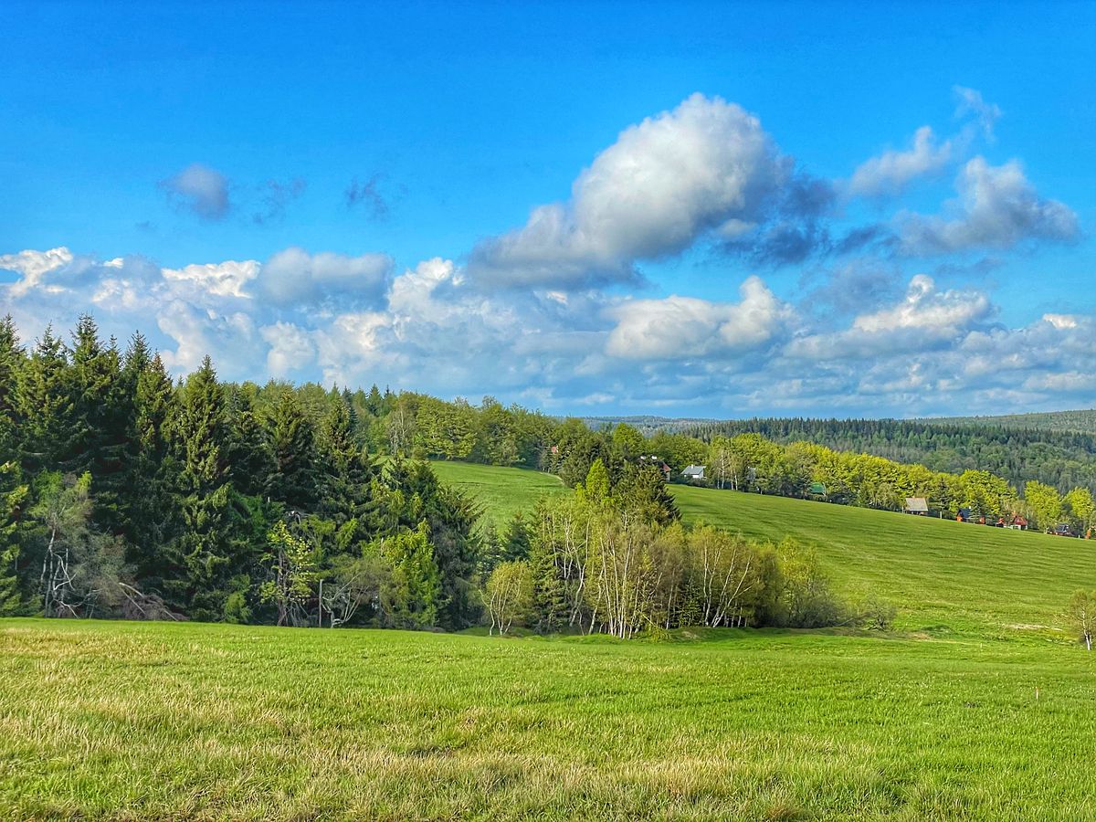 Prodej stavebního pozemku 875 m² – fotografie 4