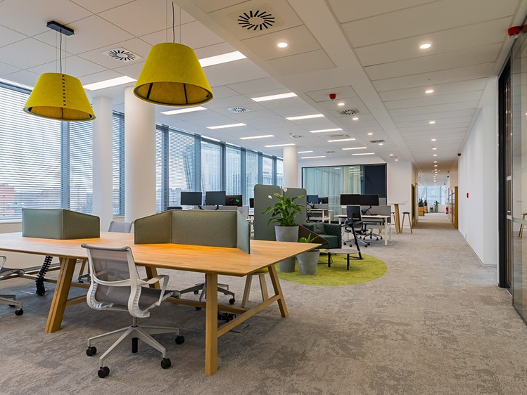 Pronájem komerčního prostoru, 3 000 m² (4 z 9)