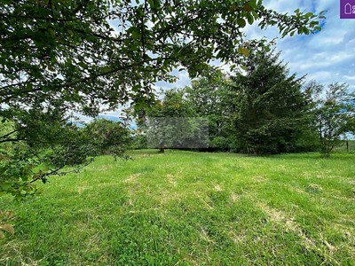 Prodej  zahrady 4 026 m²