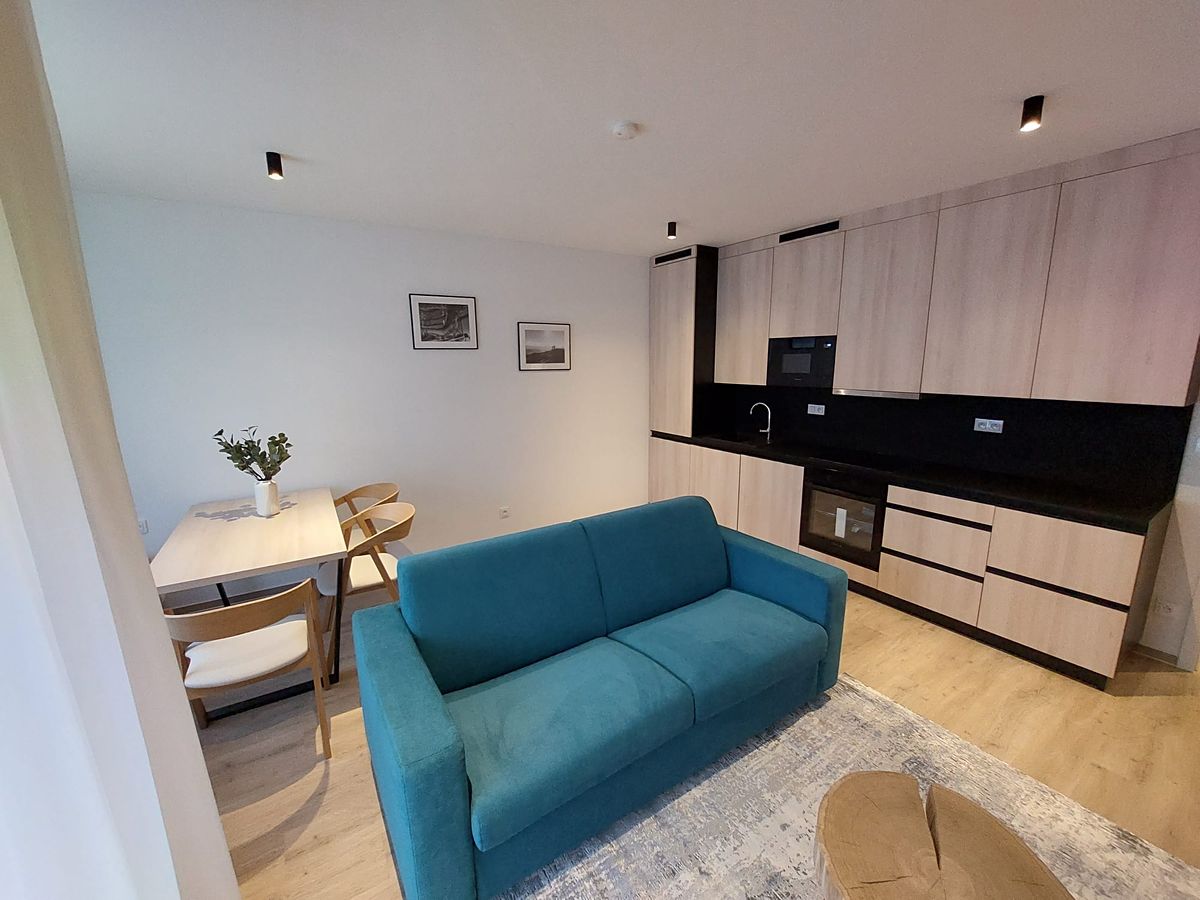 Prodej bytu 1+kk 58 m² – fotografie 2