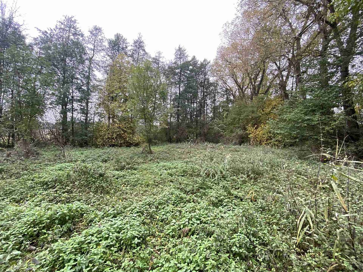 Prodej pozemku 1049 m² – fotografie 2