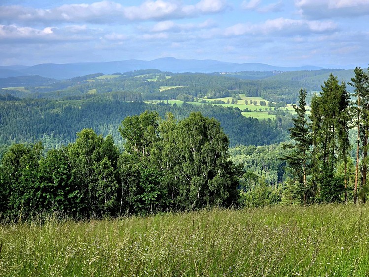 Prodej pozemku, 10 451 m² (18 z 26)