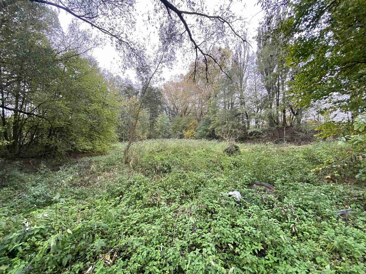Prodej pozemku 1049 m²