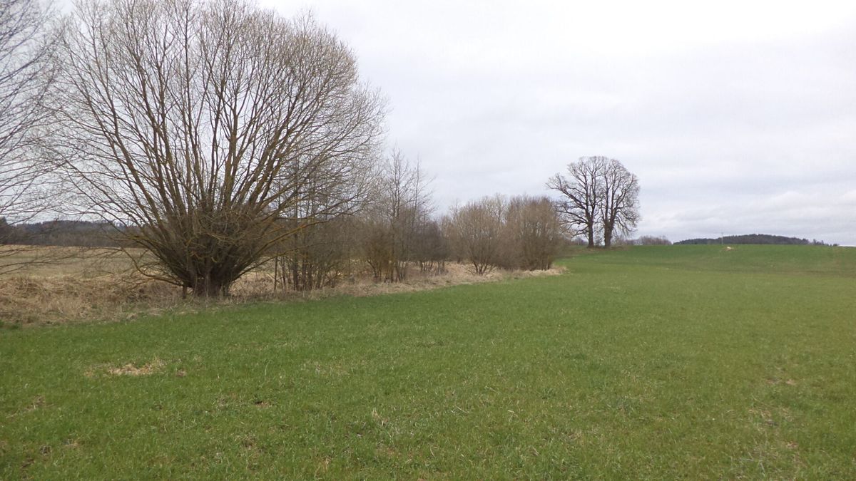 Prodej pole 11340 m²