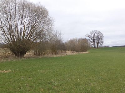 Prodej pole 11340 m²