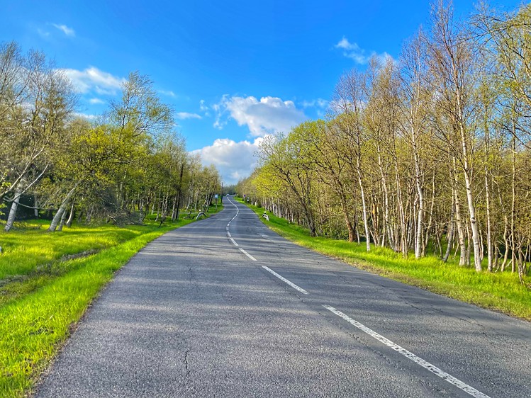 Ділянка на продаж, 875 м² (13 з 20)