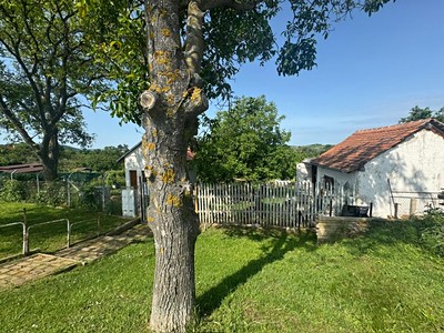 Prodej  zahrady 957 m² — photo 3