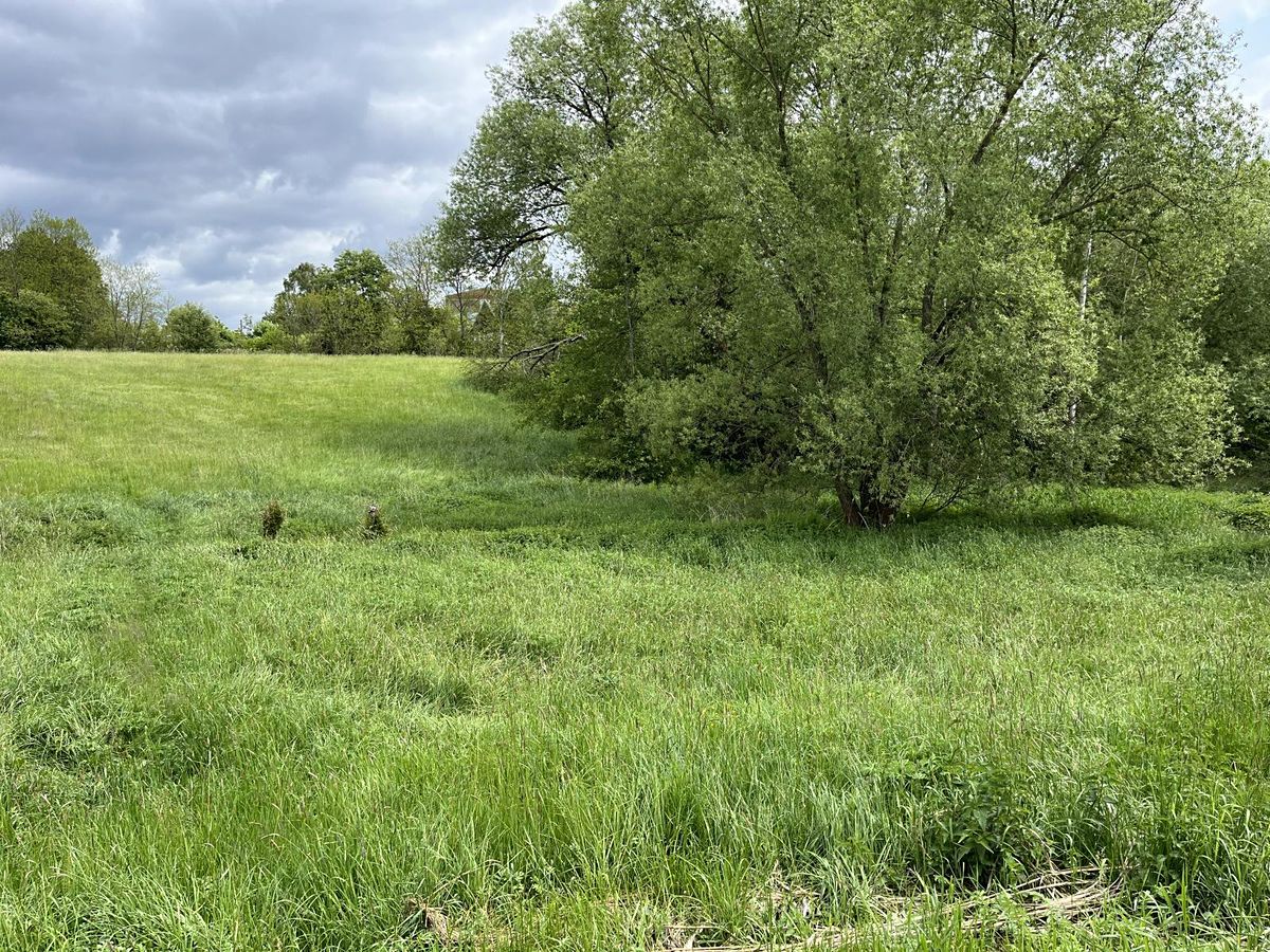Prodej stavebního pozemku 1585 m²
