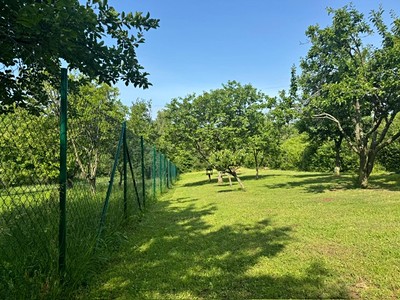 Prodej  zahrady 957 m² — photo 2
